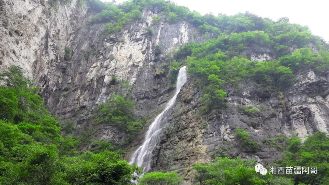 小僵尸射飞鸟